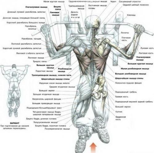 Как подтянуть руки после 60: простые и эффективные методы 02 Как подтянуть руки после 60: простые и эффективные методы 02
