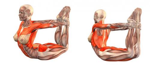 Какие упражнения йоги помогают уменьшить жировую прослойку на животе и боках. 10 поз йоги, чтобы помочь потерять жир на животе