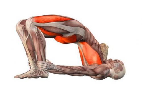 Какие упражнения йоги помогают уменьшить жировую прослойку на животе и боках. 10 поз йоги, чтобы помочь потерять жир на животе