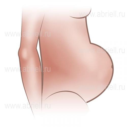 Возрастной живот у женщин: причины и способы борьбы 04