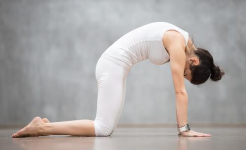 Какие особенности имеет быстрая утренняя йога для людей с ограниченными возможностями. Особенности и примеры занятия йогой дома для разных возрастных категорий пожилых людей