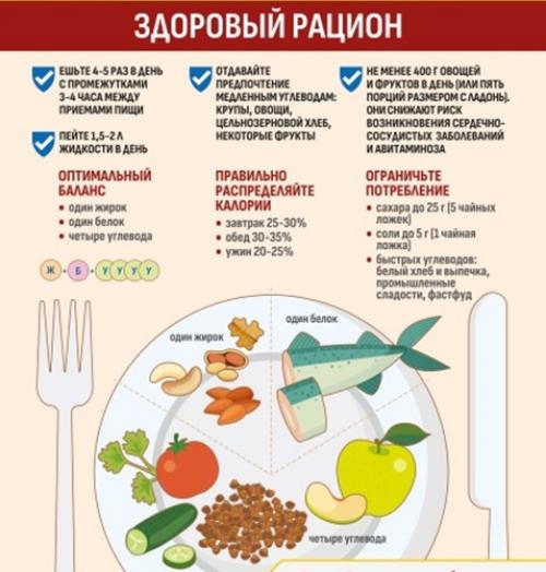 Опыт: 2 месяца с ограничением до трёх приёмов пищи 04 Опыт: 2 месяца с ограничением до трёх приёмов пищи 04