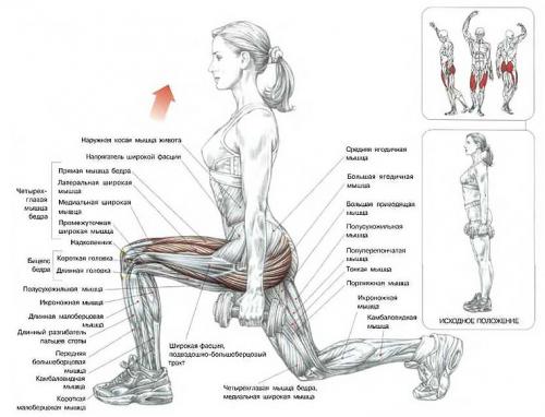 Как можно тренироваться дома без тренажеров. «Качалка» на дому