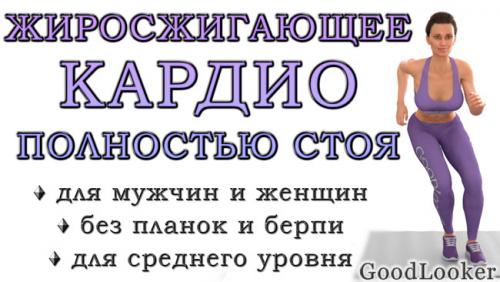 Простая кардио-тренировка на каждый день. Кардио-тренировка полностью стоя для сжигания жира (средний уровень, без планок и берпи)