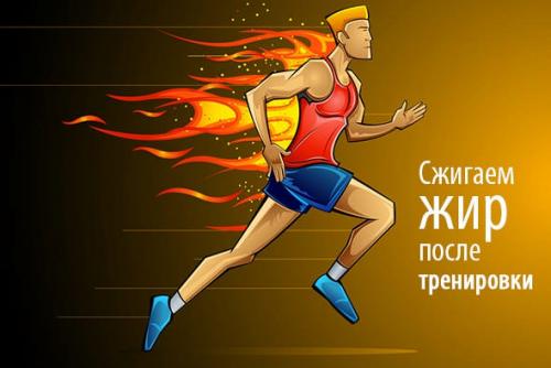 Как тихое кардио помогает сжигать жир. Про эффект дожигания жира после кардио тренировки
