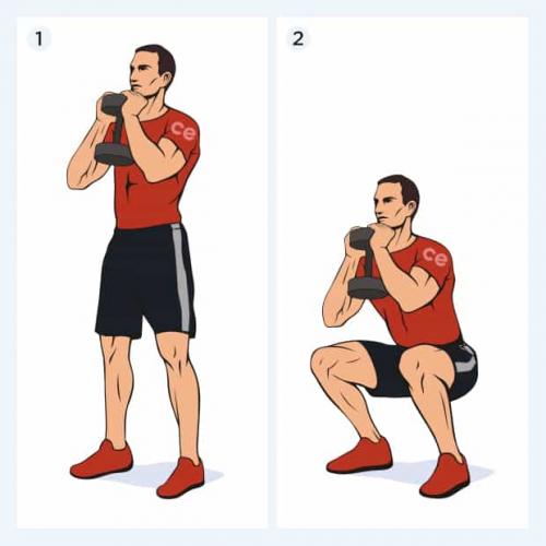 Какие упражнения наиболее эффективны для развития силы нижней части тела. Присед с гантелями