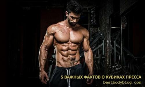 Как определить, какой тип тела у мужчины и как это влияет на накачку пресса до кубиков. 5 ВАЖНЫХ ФАКТОВ О КУБИКАХ ПРЕССА