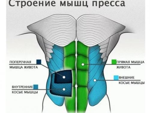 Накачай свой пресс за 30 дней с помощью этой программы и таблицы 01 Накачай свой пресс за 30 дней с помощью этой программы и таблицы 01