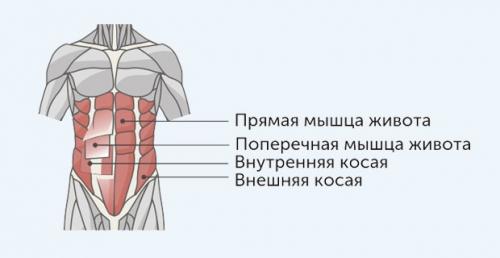 Самая эффективная тренировка пресса для дома. Распределение нагрузки