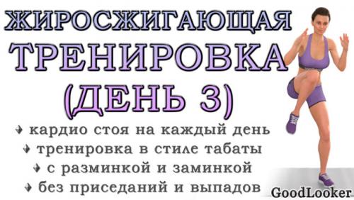 Утренняя зарядка для похудения. Кардио-тренировка для жиросжигания в стиле табаты: День 3 (Программа для начинающих на 7 дней)