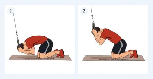 Как можно изменить упражнения на нижний пресс для мужчин, чтобы они были более эффективными. Эффективные упражнения в зале