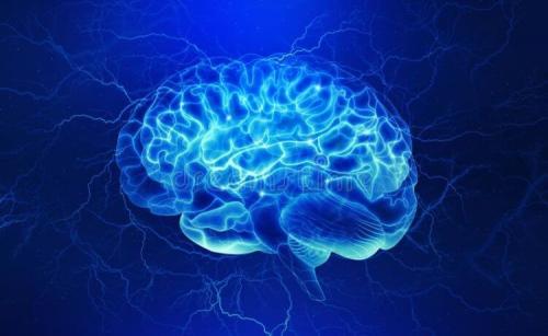 Секреты метаболизма: что мы до сих пор не понимаем 03 Секреты метаболизма: что мы до сих пор не понимаем 03