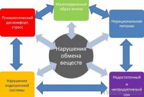 Секреты природы: как травы помогают ускорить обмен веществ 04 Секреты природы: как травы помогают ускорить обмен веществ 04