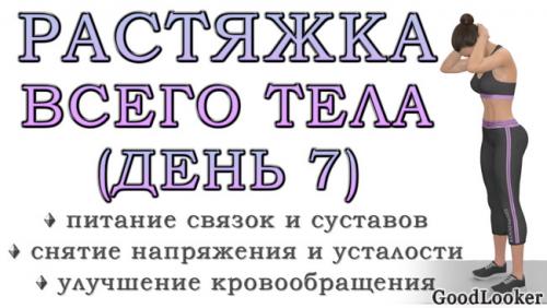 12 Жиросжигающих упражнений на Растяжку. Простая растяжка для всего тела на 30 минут: День 7 (Программа для начинающих на 7 дней)