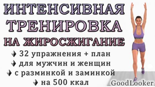 Жиросжигающая тренировка для женщин старше 50 или.. Интенсивная тренировка на жиросжигание на 500 ккал для мужчин и женщин (без повторов упражнений)