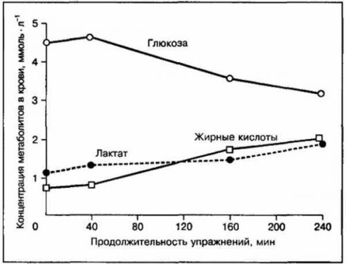 Сколько времени в день нужно тратить на тренировку, чтобы эффективно сжигать жир. Разбор популярного мифа