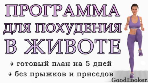 Как можно сделать тренировки максимально эффективными, используя список топ-50 упражнений. Программа для похудения живота: 50 упражнений + план на 5 дней (без прыжков и приседаний)