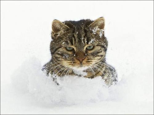 Как избежать переутомления при тренировке всего тело без повторений. Переутомление