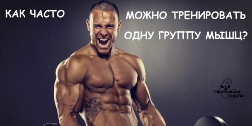 Как часто стоит проводить тренировки на все тело без прыжков для достижения результатов. Как часто можно тренировать одну группу мышц?