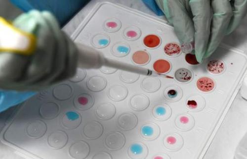 Топ-5 продуктов, которые способствуют быстрому снижению веса 02 Топ-5 продуктов, которые способствуют быстрому снижению веса 02