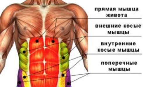 Правильное питание как основной способ убрать выпирающий живот 05 Правильное питание как основной способ убрать выпирающий живот 05