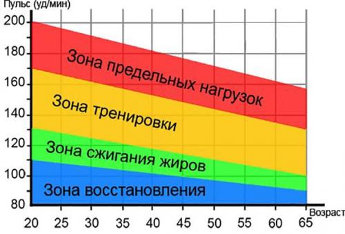 Как измерить эффективность 10-минутной тренировки в сжигании жира. Фитнес-мифы: кардио, пульс и зона жиросжигания