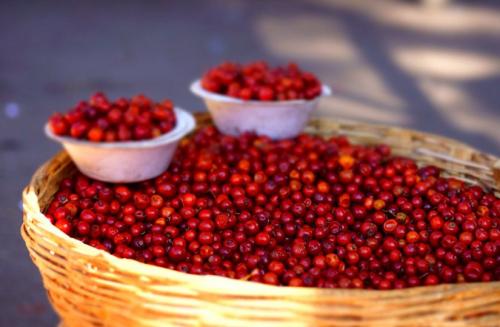 Убрать отечность за день: 5 простых шагов 03 Убрать отечность за день: 5 простых шагов 03