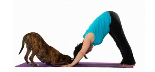 ПРОСТОЙ комплекс йоги для начинающих: основные асаны и правила 01 ПРОСТОЙ комплекс йоги для начинающих: основные асаны и правила 01